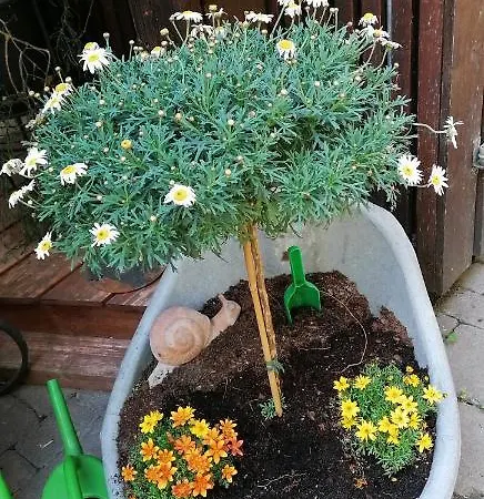 Adler Gaststube Biergarten Bad Rappenau