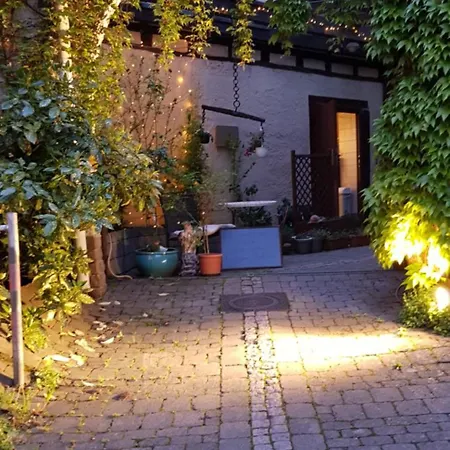 Hotel Adler Gaststube Biergarten