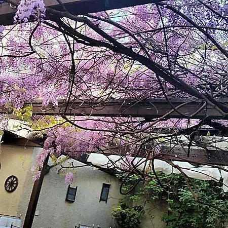 Adler Gaststube Biergarten