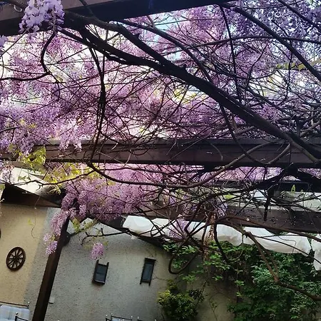 Adler Gaststube Biergarten 호텔 3*